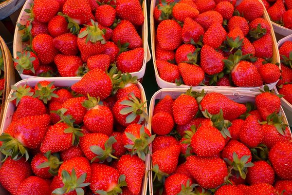 Vineyards and Villages of Provence - 8 Days food